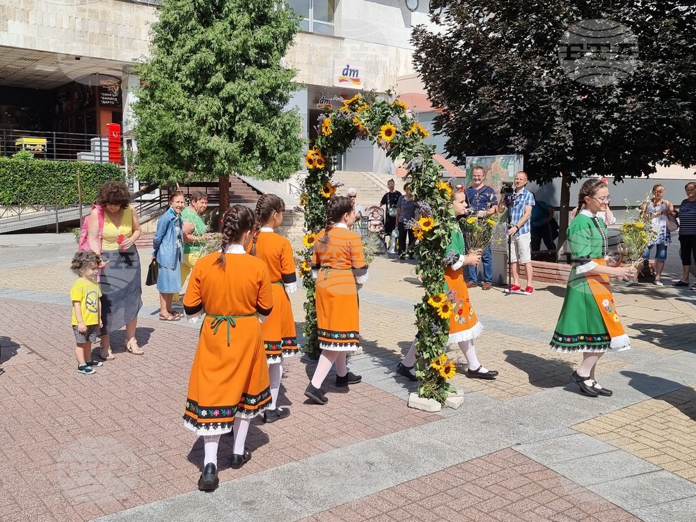 С арка от билки, концерт и езда в Хасково отбелязаха Еньовден