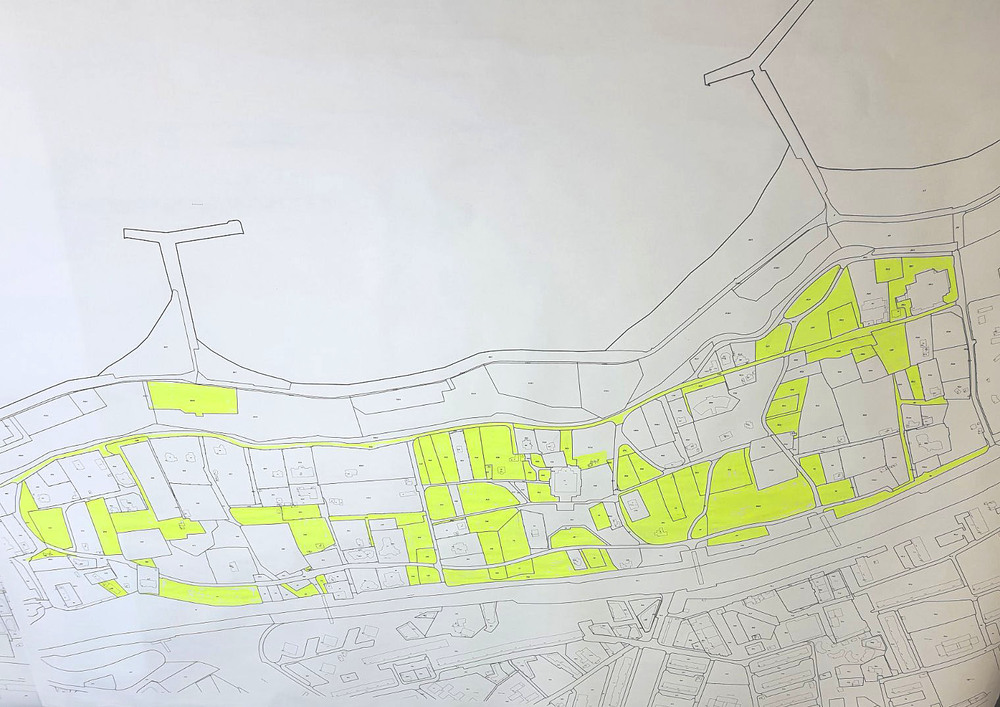 Заместник-кметът по сигурността на Община Варна Илия Коев: Започва разчистването от храсти в над 100 декара в Морската градина, предстои и реновиране на осветлението там
