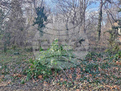 Снимка: Община Варна