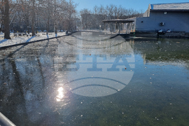 Монтана - студ - лед