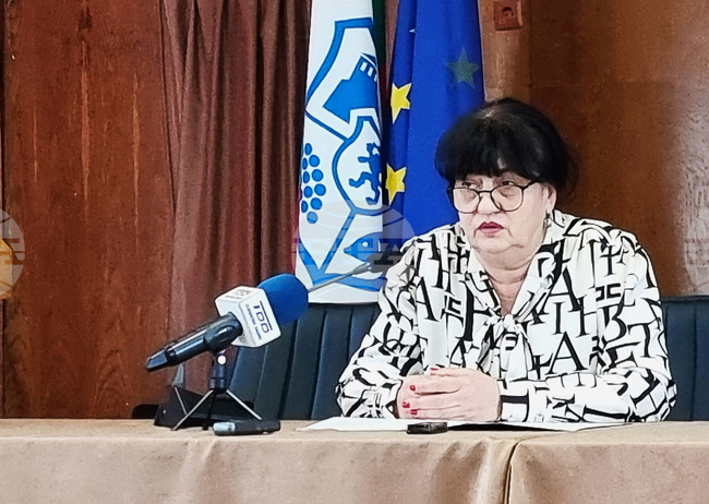 Видин - „Грижа в дома" - проект