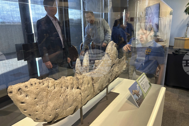 Голяма кост, открита в Ню Мексико през 70-те години на миналия век, се оказа на близък роднина на тиранозавър рекс 