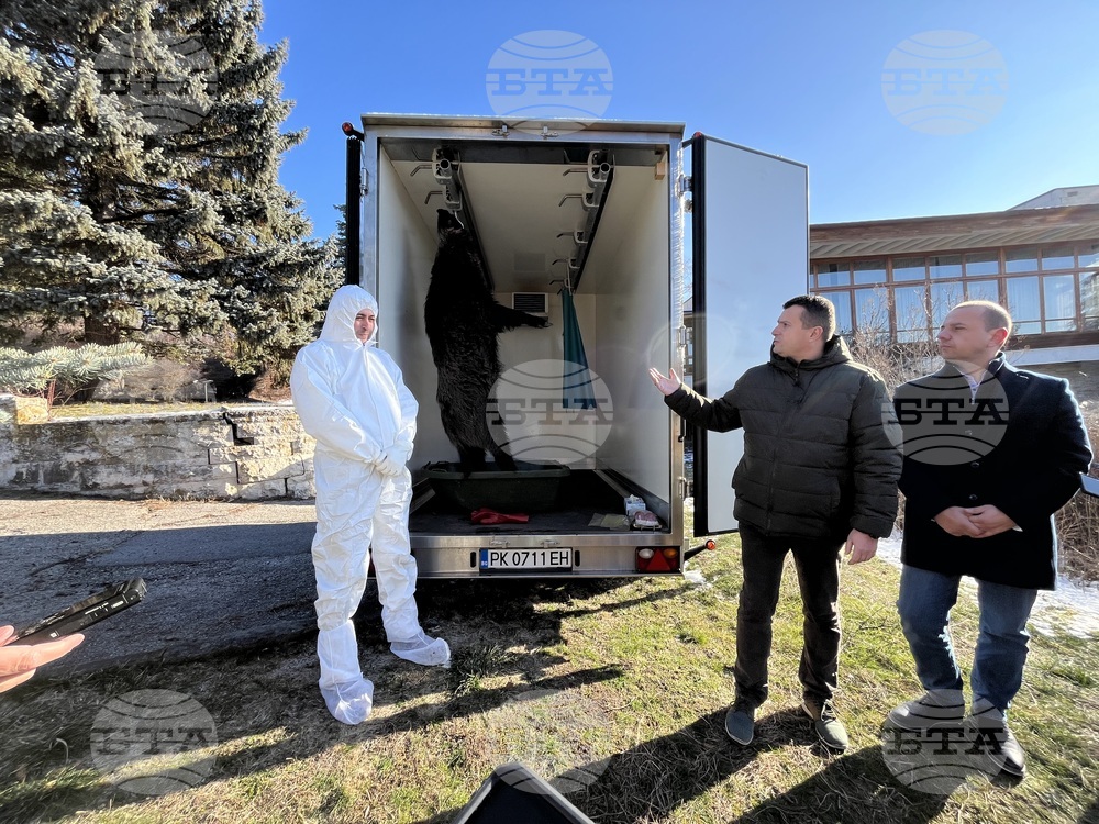 Демонстрация на вземане на проба за трихинелоза и Африканска чума по свинете