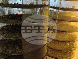 Снимка: Пресцентър МВР 