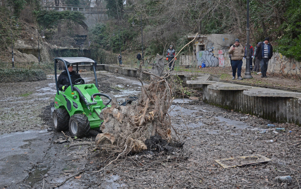 Община Варна: Звеното по озеленяване към общината разчиства от дънери езерото под алпинеума в Морската градина