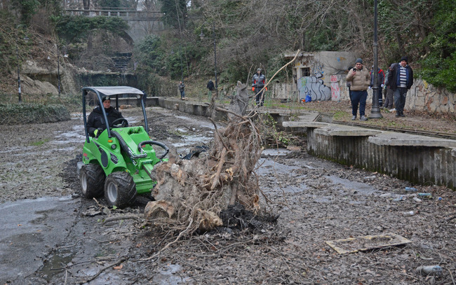 Община Варна: Звеното по озеленяване към общината разчиства от дънери езерото под алпинеума в Морската градина