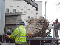 Снимка: Община Варна