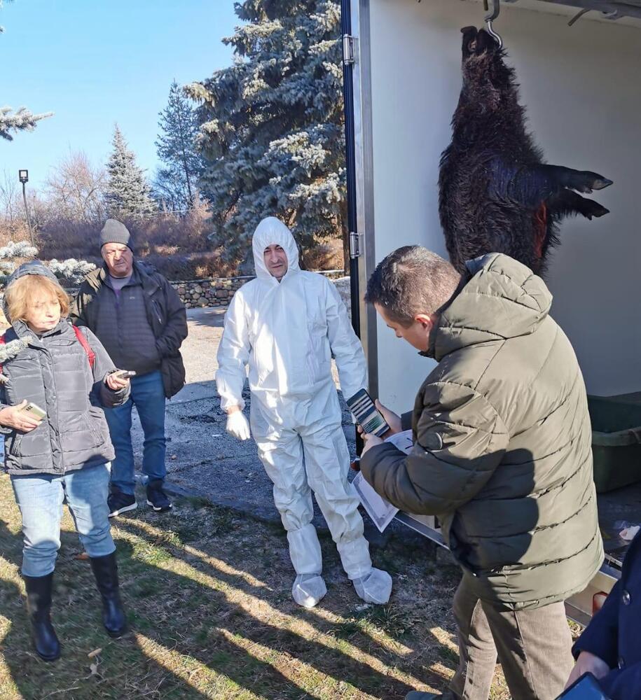Заместник-министър Маринов: Държавата подпомага ловците като събира всички проби за трихинелоза и АЧС и ги транспортира за собствена сметка до лабораториите