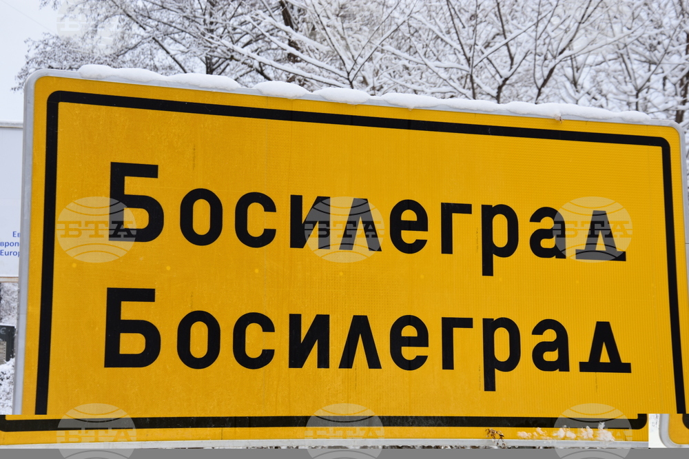 Приключи ловният сезон на диви свине в община Босилеград