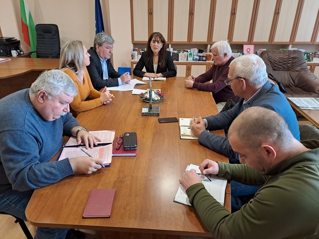 В Пазарджишко започва обследване за опасни дървета край пътищата в родопската част на региона, съобщиха от Областната администрация