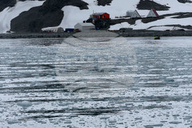 Южни шетландски острови - Остров Ливингстън - Национална антарктическа експедиция