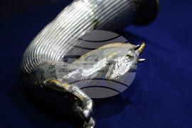 Разград - музей - Боровско съкровище