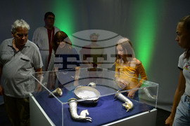 Разград - музей - Боровско съкровище