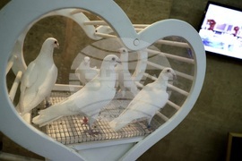 Сватбено изложение Sofia wedding expo 2024