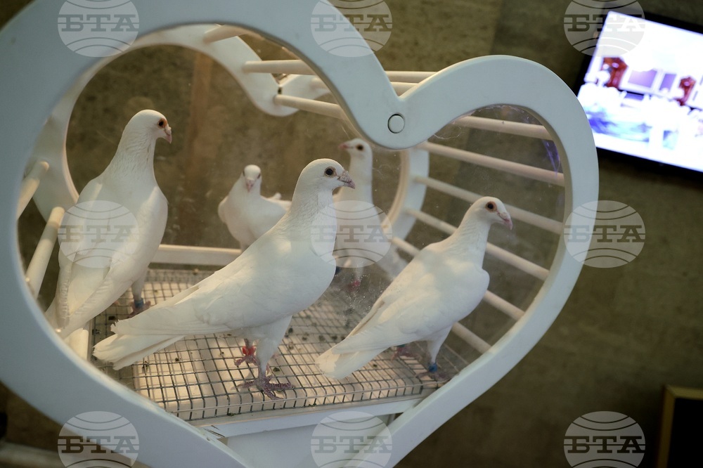 Сватбено изложение Sofia wedding expo 2024