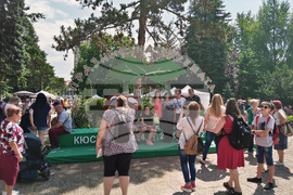 Кюстендил - Празник на черешата