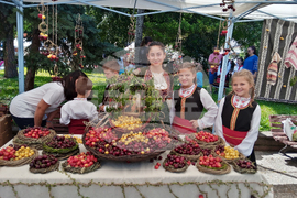 Кюстендил - Празник на черешата