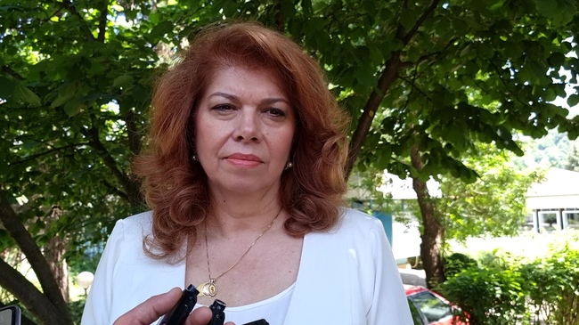 Много по-рано можеше предложение като френското за Република Северна Македония да бъде факт, заяви Илияна Йотова