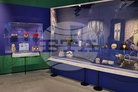 Румъния - изложба “Чанти: отвътре навън“