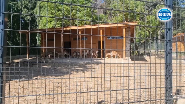 Изцяло обновеният зоопарк в Стара Загора отвори врати
