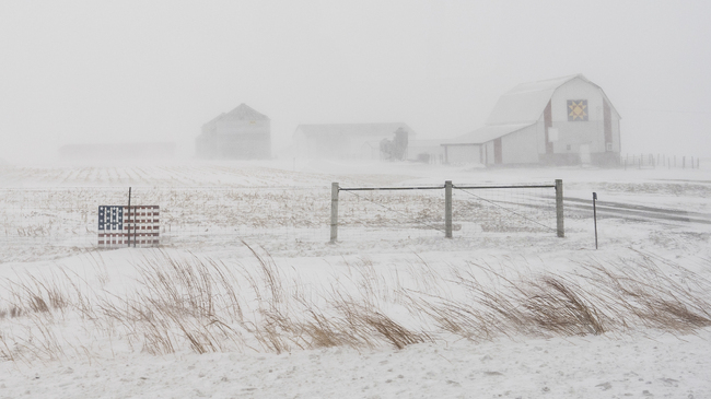Силна зимна буря в САЩ остави повече от 250 000 домакинства без електроснабдяване и причини отмяна на хиляди полети