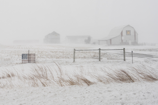 Силна зимна буря в САЩ остави повече от 250 000 домакинства без електроснабдяване и причини отмяна на хиляди полети