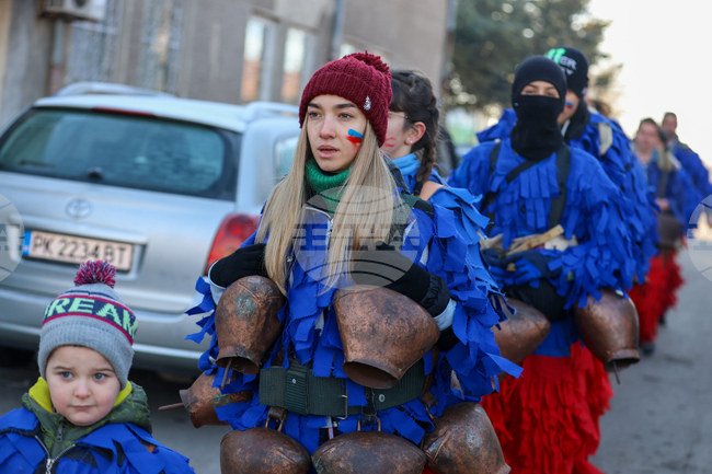 Големо Бучино - Сурва