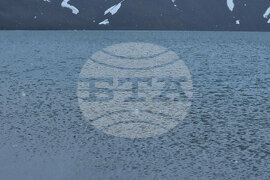 Остров Дисепшън - Национална антарктическа експедиция - Разтоварване на провизии и апаратура за испанската полярна база „Габриел де Кастия“