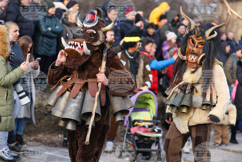 Село Ярджиловци - Сурва