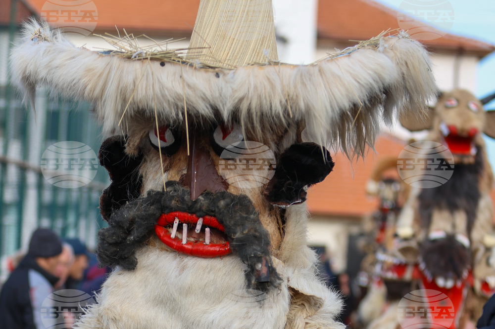 Село Ярджиловци - Сурва