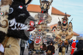 Село Ярджиловци - Сурва