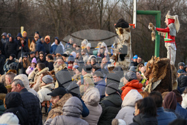 Село Ярджиловци - Сурва