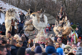 Село Ярджиловци - Сурва