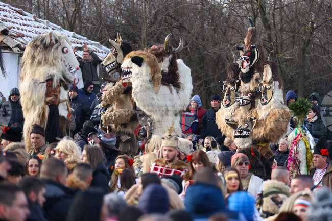 Село Ярджиловци - Сурва