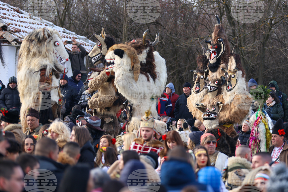 Село Ярджиловци - Сурва