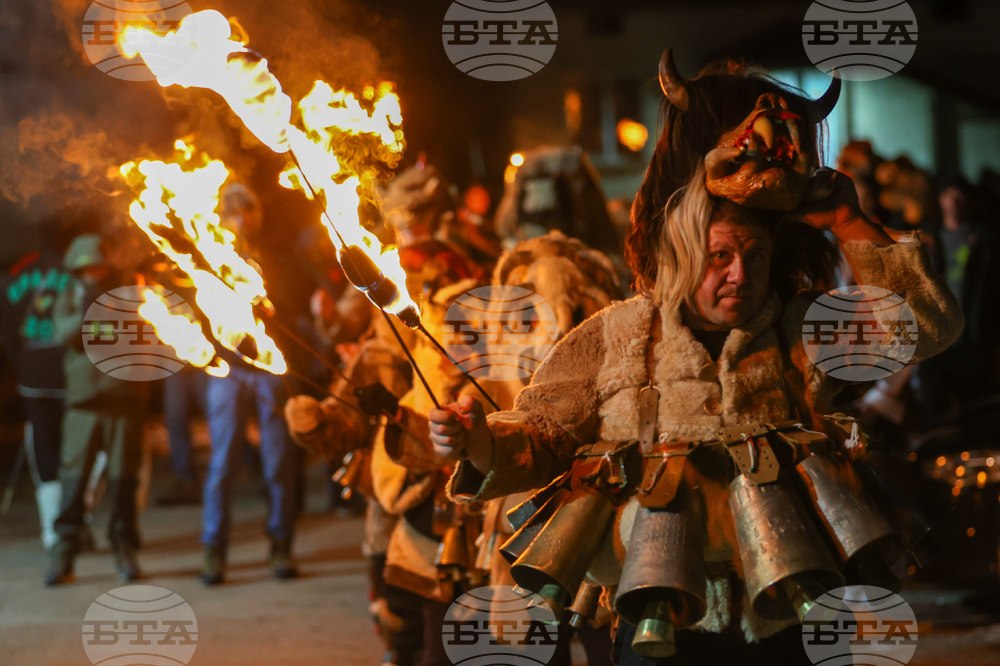 Село Кралев Дол - Сурва
