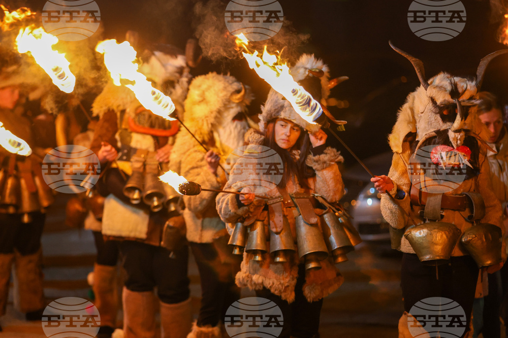 Село Кралев Дол - Сурва