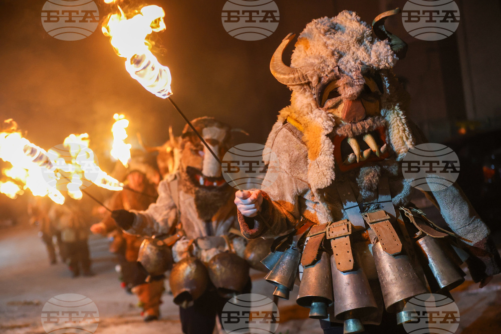 Село Кралев Дол - Сурва