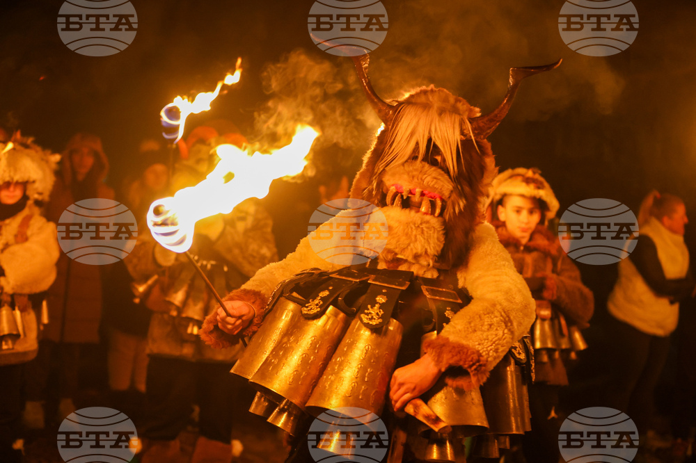 Село Кралев Дол - Сурва