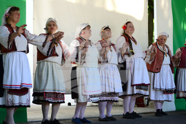 Разград - регионален преглед селекция