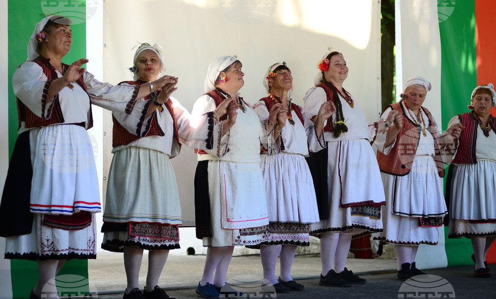 Разград - регионален преглед селекция