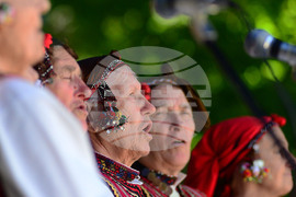 Разград - регионален преглед селекция