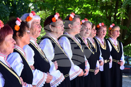 Разград - регионален преглед селекция