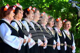 Разград - регионален преглед селекция