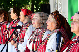 Разград - регионален преглед селекция