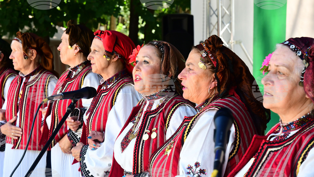 Разград - регионален преглед селекция