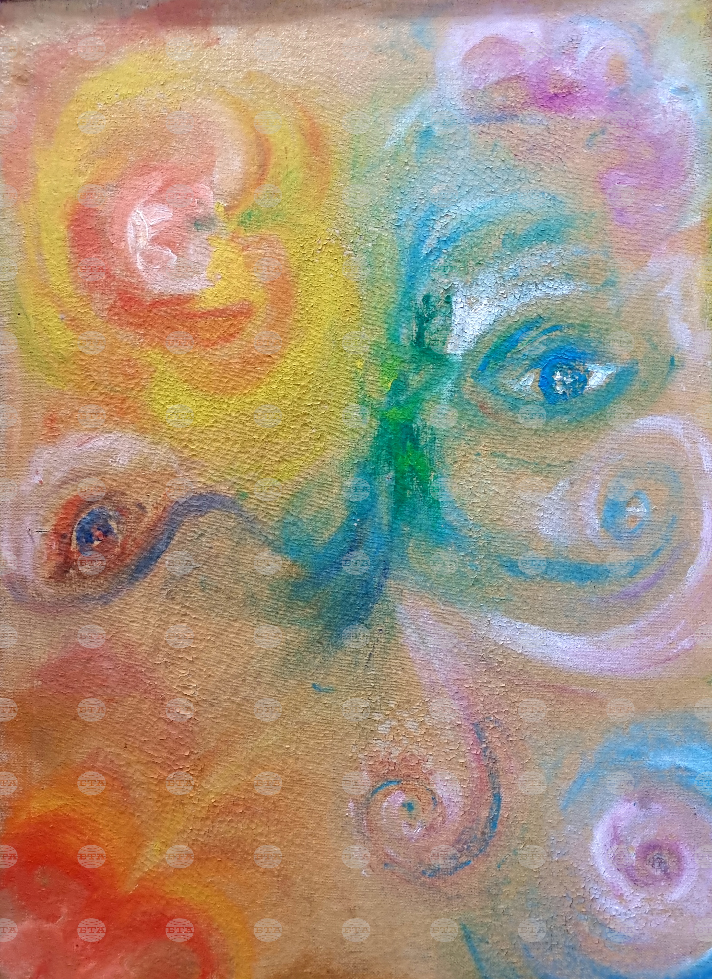 Монтана - „Пъстър свят“ - изложба