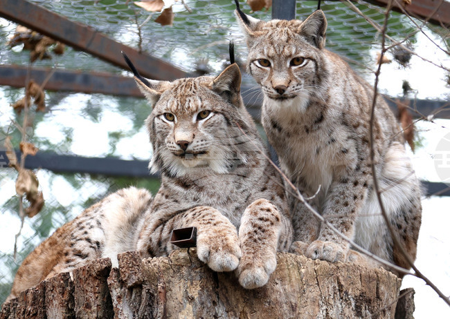 Варна - Зоопарк - зима