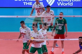 Волейбол - България - Бразилия