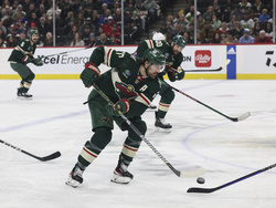 Islanders Wild Hockey